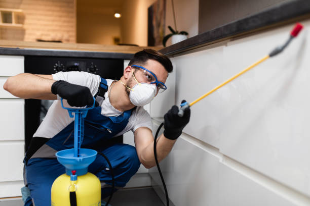 Best Commercial Pest Control Services  in Kaunakakai, HI