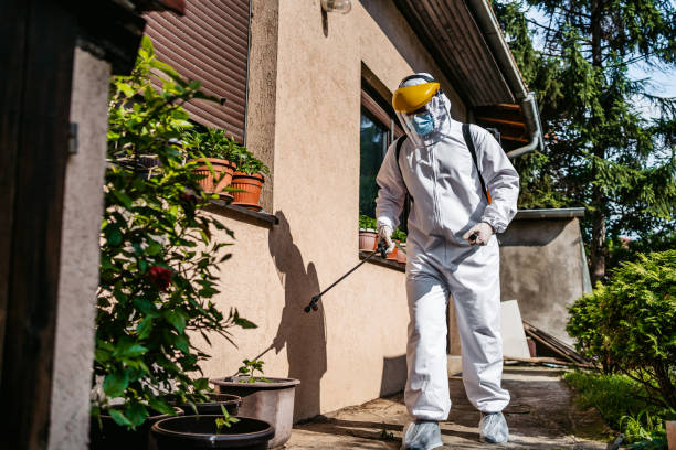 Spider Control Near Me in Kaunakakai, HI