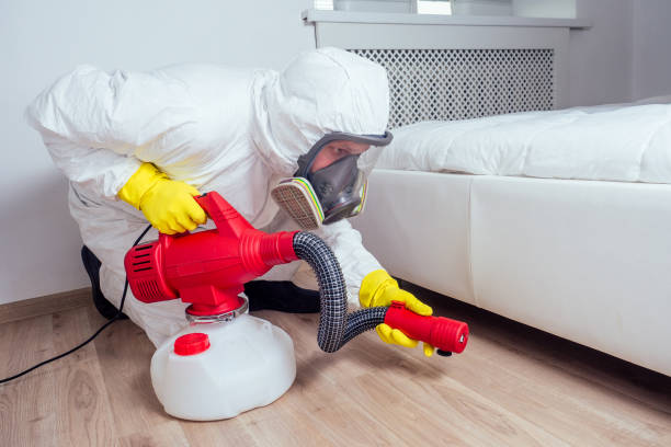 Best Flea Control Services  in Kaunakakai, HI