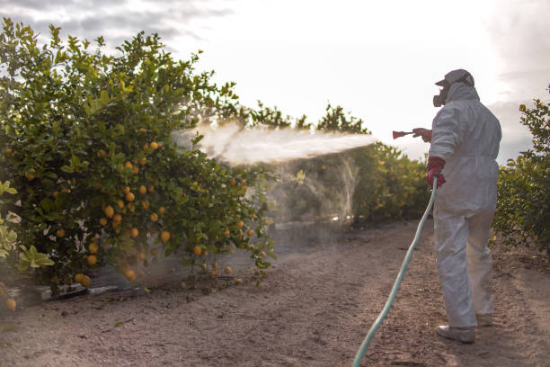 Best Emergency Pest Control  in Kaunakakai, HI