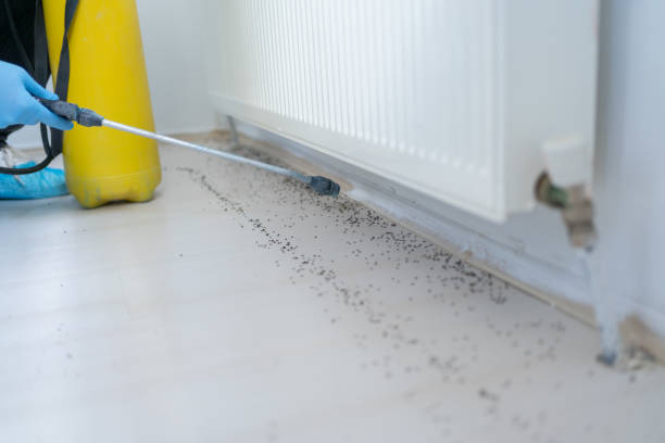 Best Pest Prevention Services  in Kaunakakai, HI