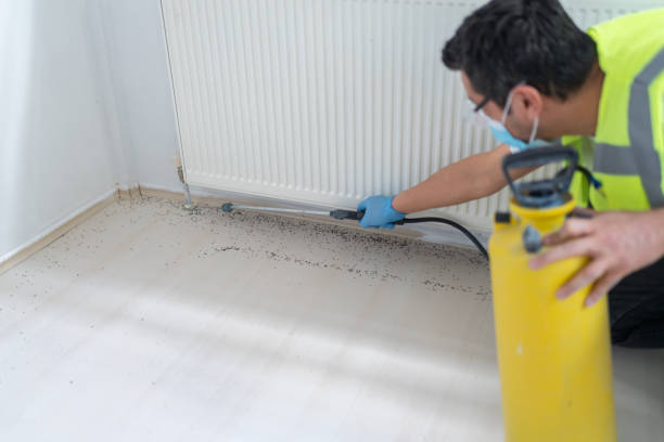 Best Bed Bug Extermination  in Kaunakakai, HI
